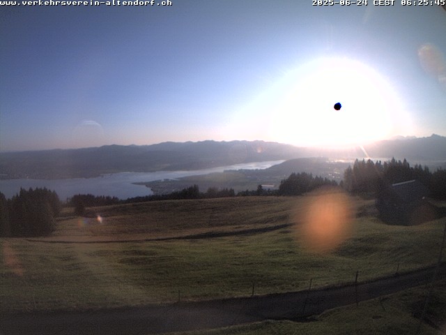 Camera Live Image