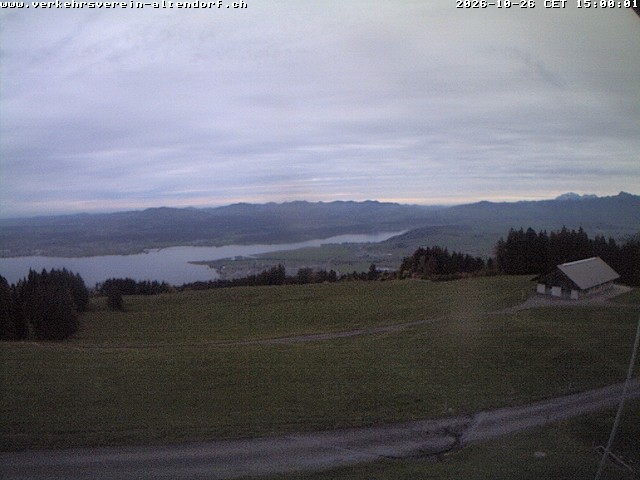 Camera Live Image
