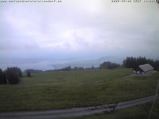 Camera Live Image