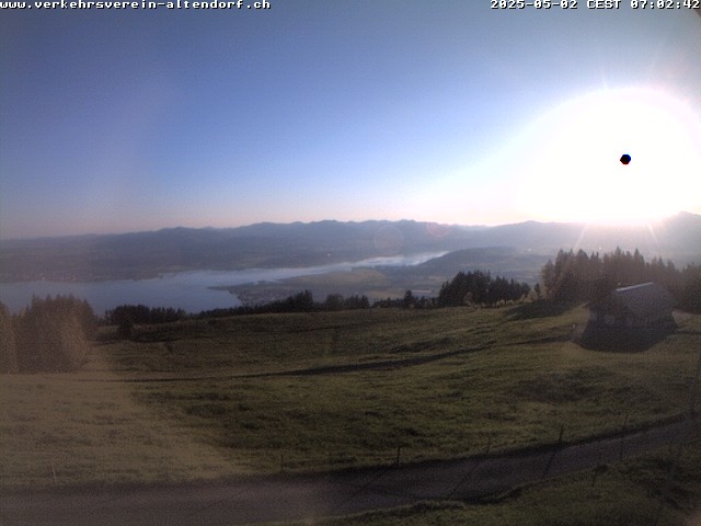 Camera Live Image